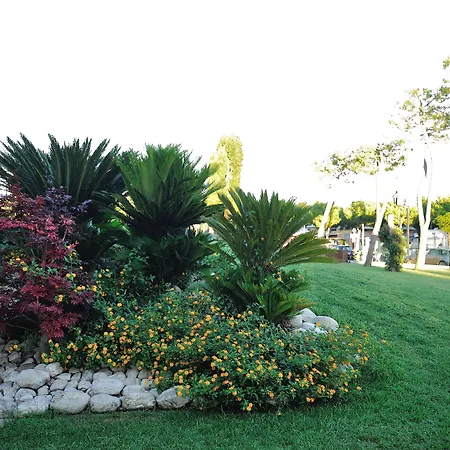 Vakantiepark Don Antonio Glamping Village